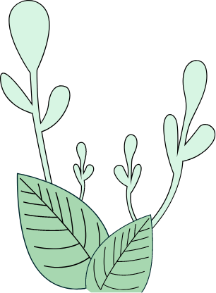 植物